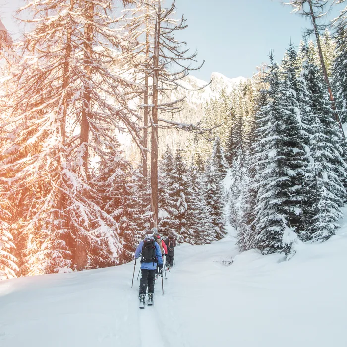 aktivitaeten-obertauern-15.jpg